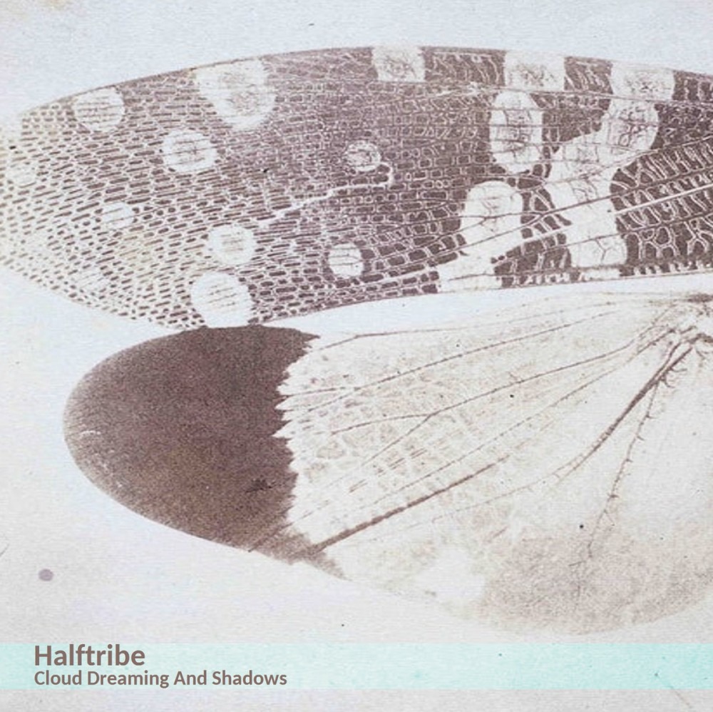 Best Albums of 2020: Halftribe ‘Cloud Dreaming And Shadows’