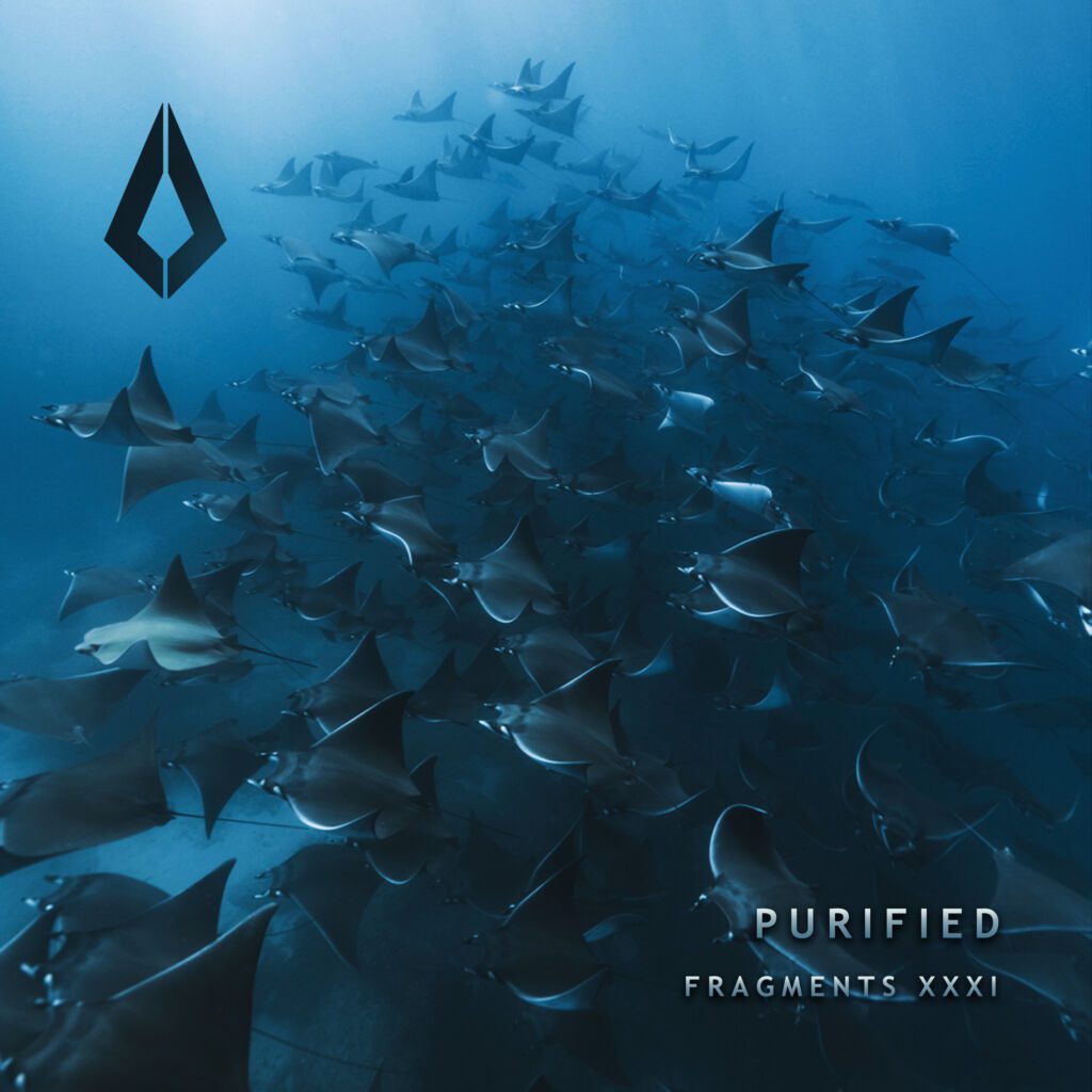 Purified Records Unveils 31st Edition of VA Series ‘Fragments XXXI’
